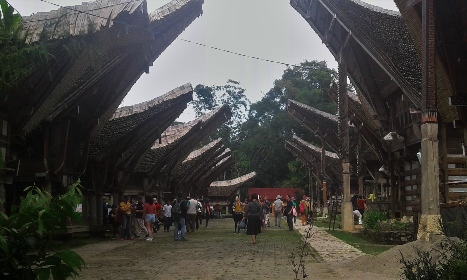Open Trip Sulawesi overland tours Open trip Sulawesi tours