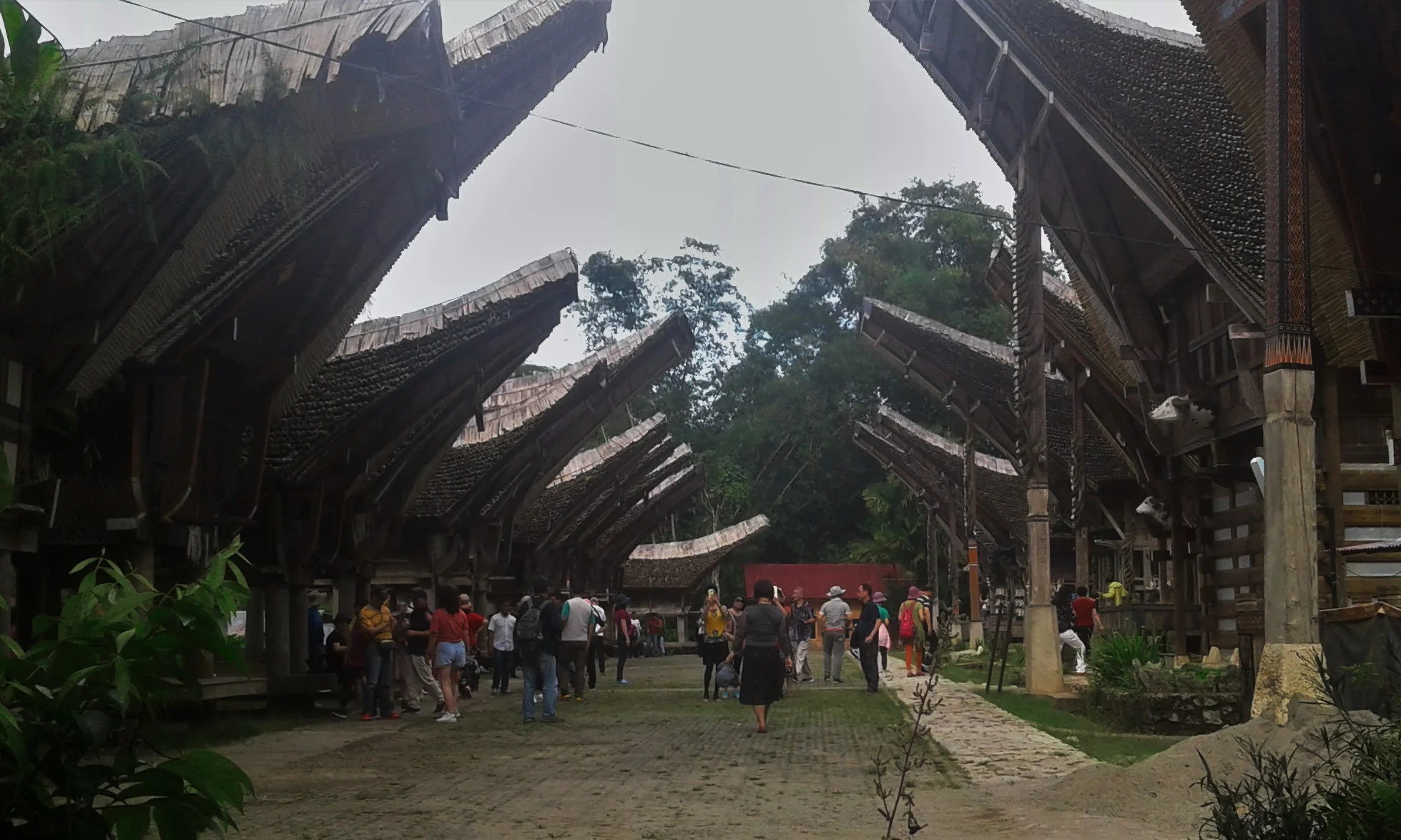 Open trip Sulawesi tours