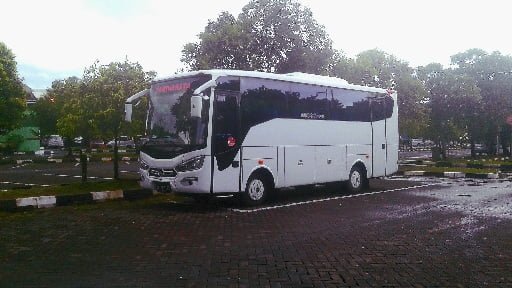 Open Trip Sulawesi by bus open trip sulawesi
