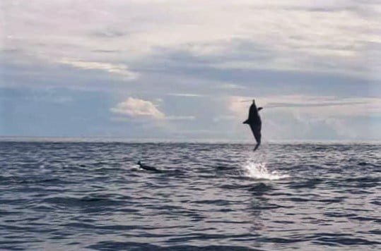 bunaken-snorkeling-tours Bunaken-Snorkeling-tours