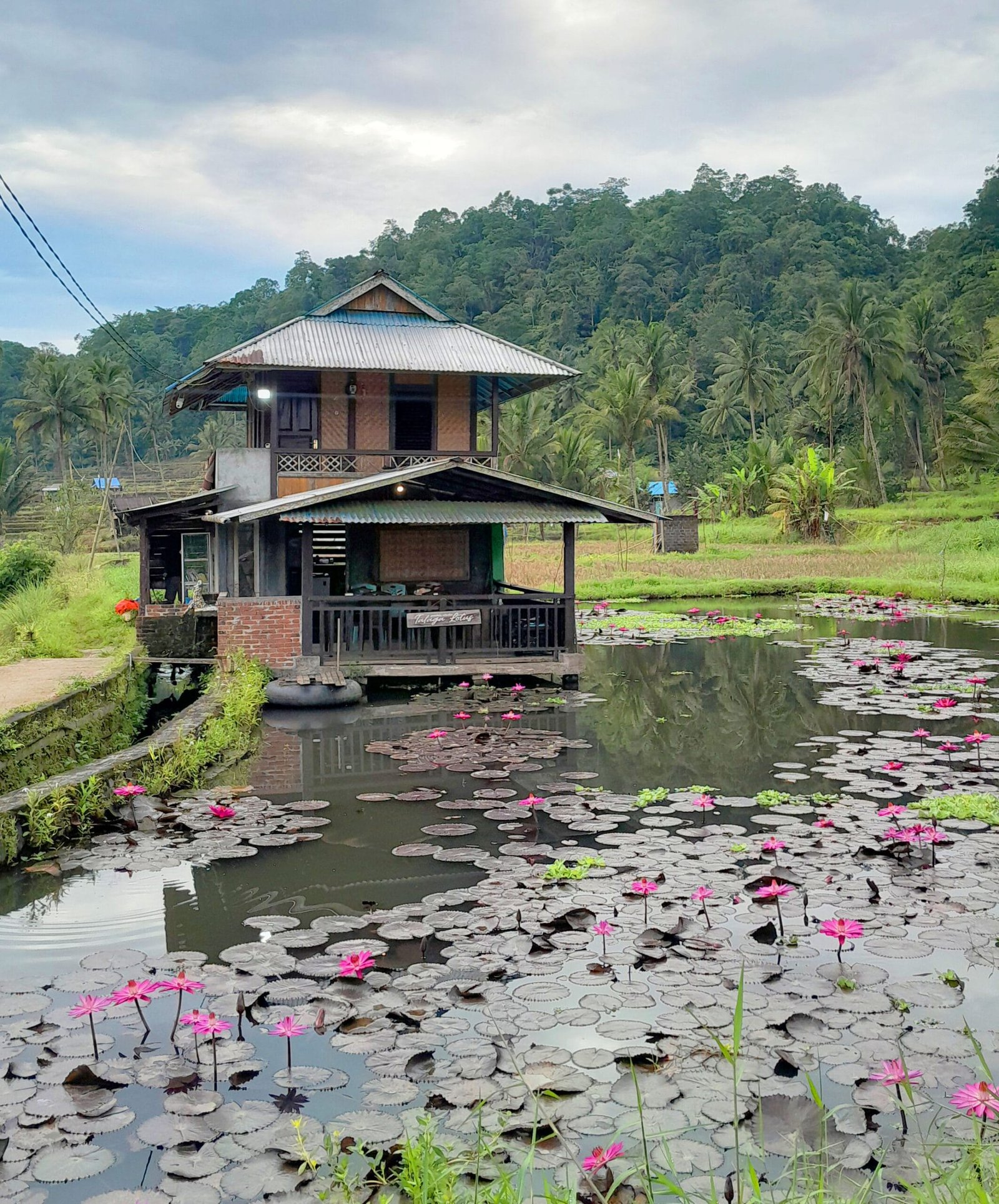 minahasa-highland-tours minahasa-highland-tours