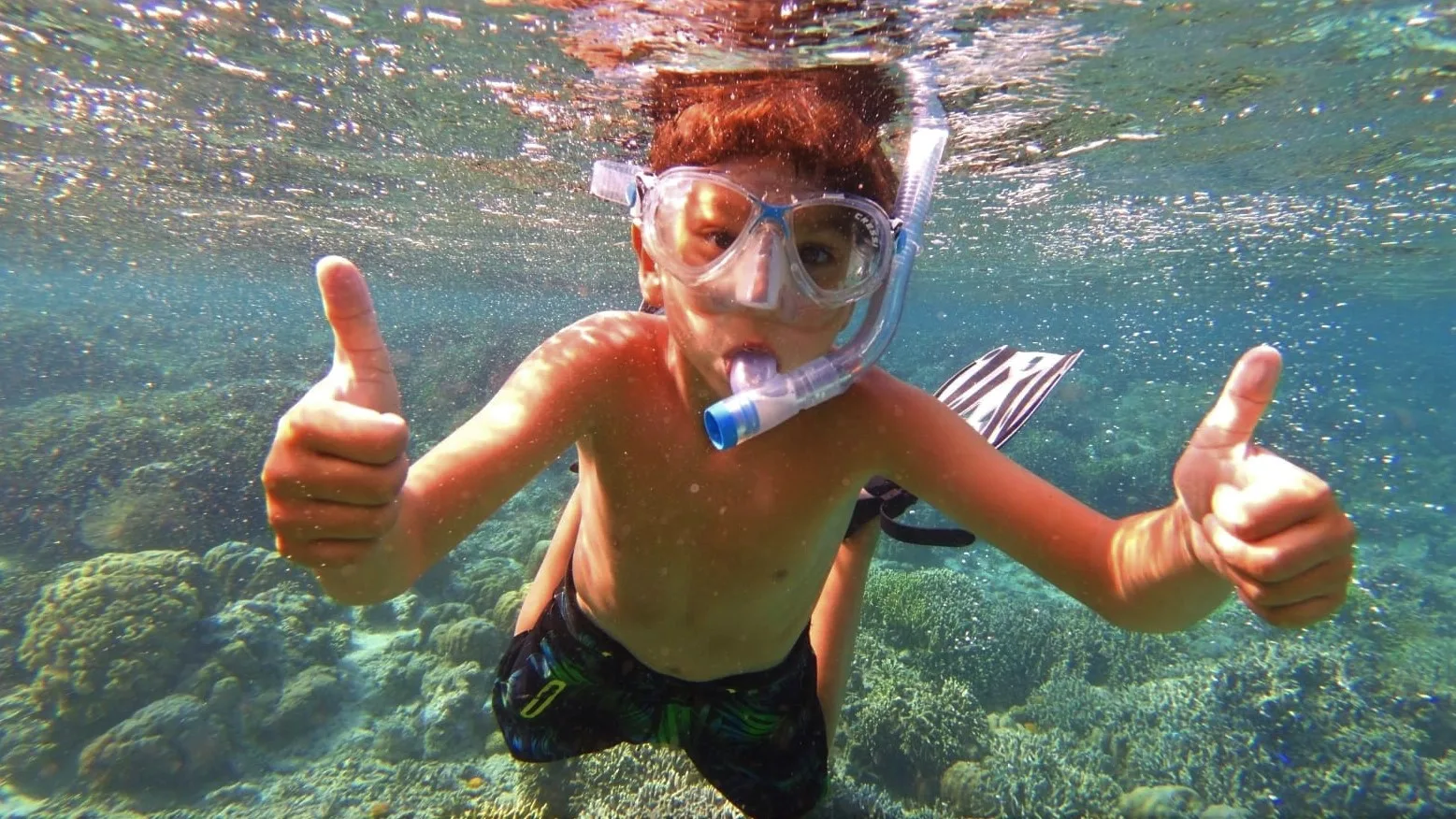 Coral reefs of Bunaken island