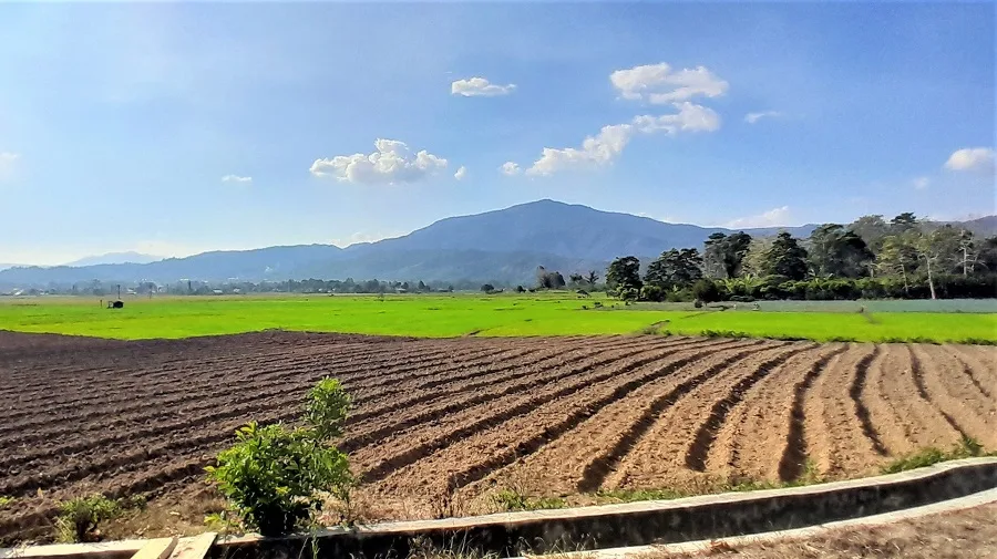 Napu valley tours 
