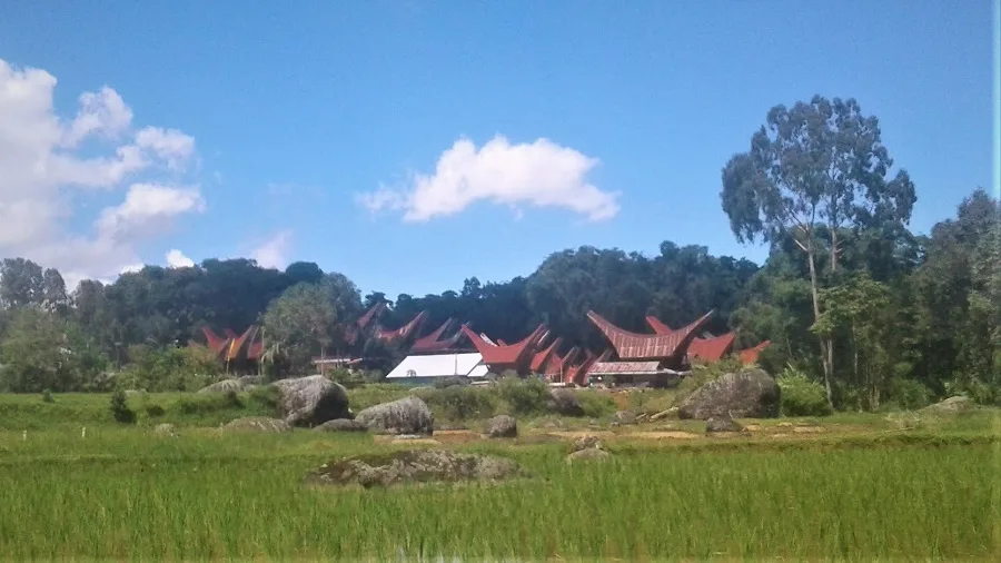 Rice field and Tongkonan traditional houses on Tours Toraja
