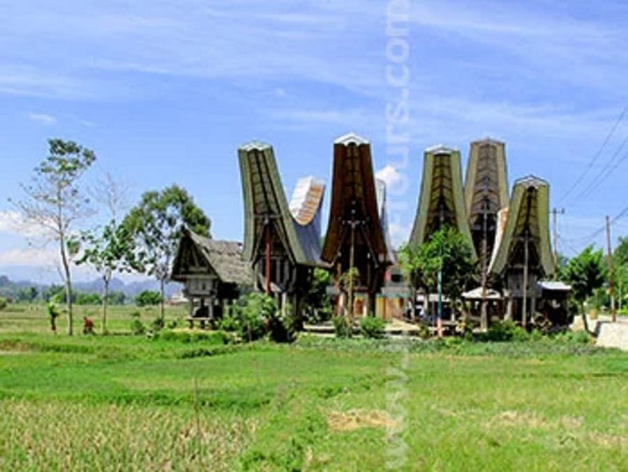 toraja trekking-tours toraja-trekking_tours