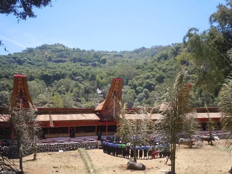 toraja_trekking_tours toraja-trekking tours