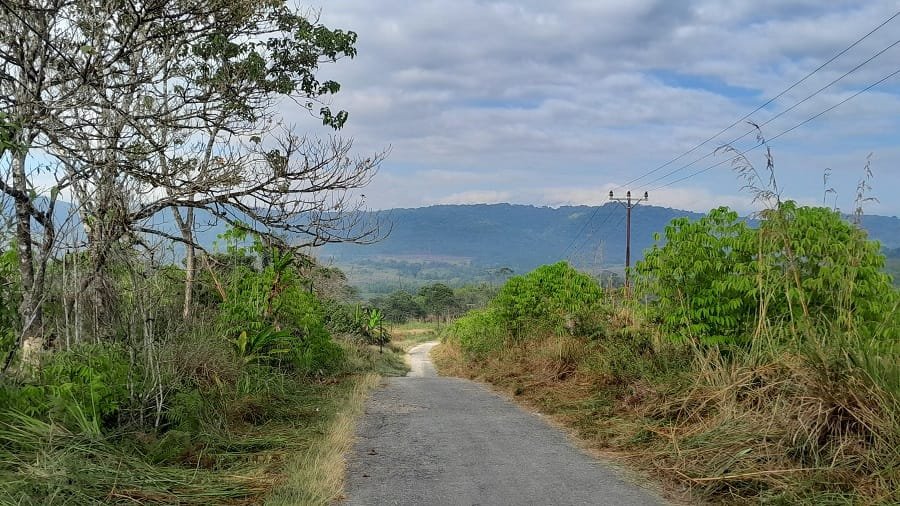 tour central - sulawesi between the village