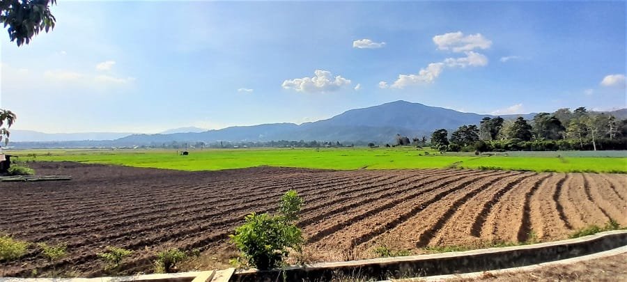 tour central_sulawesi tours central Sulawesi