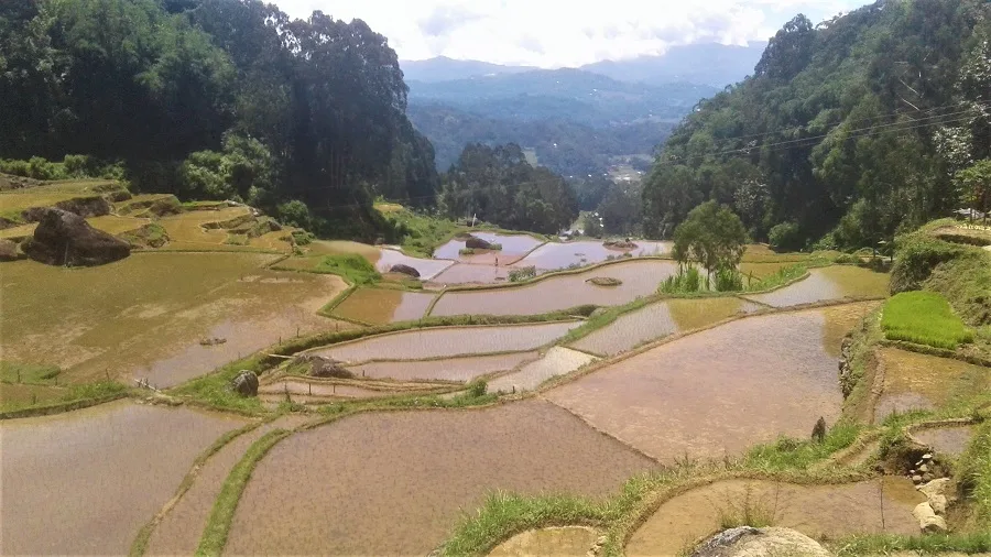 tour-south-sulawesi