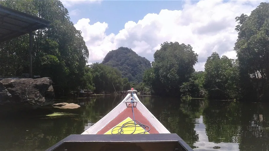 Karst limestone - ramang ramang on tours toraja