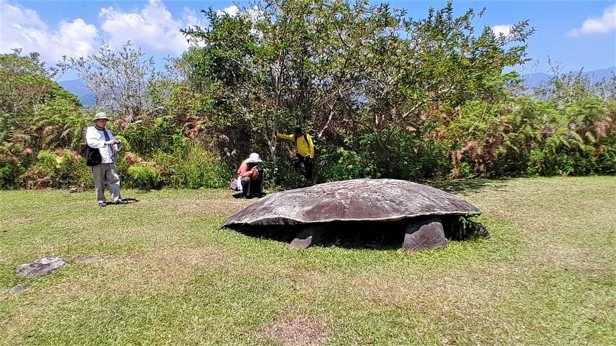tour_central sulawesi Pada Masora Megalithic - Lorelindu National Park