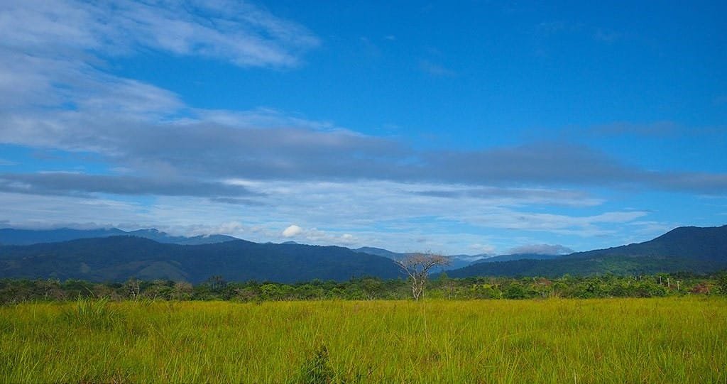 tour central_sulawesi tour central Sulawesi