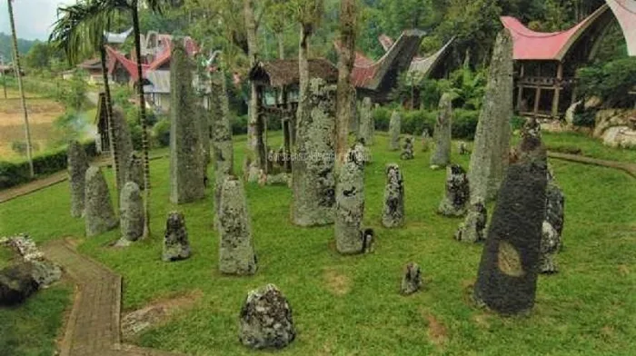 Megalithic stone in slaughtered field