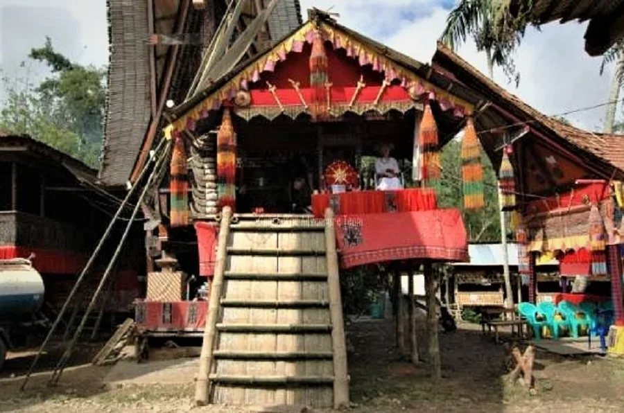 tours-toraja-funeral-ceremony tours toraja - funeral ceremony
