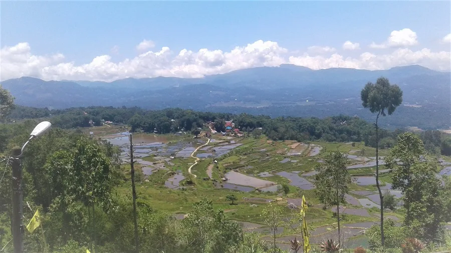 rice terraces on Tours Toraja